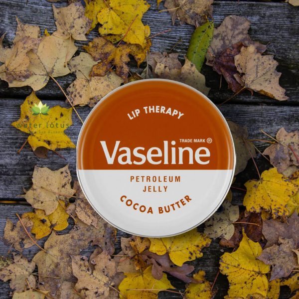 VASELINE LIP THERAPY