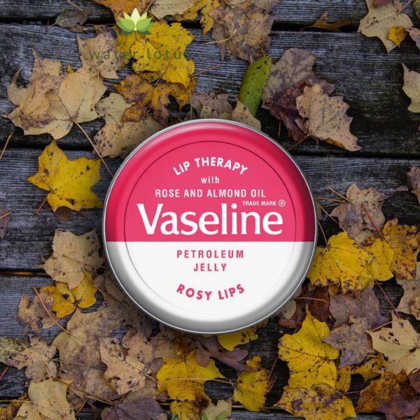 Vaseline lip therapy rosy lips